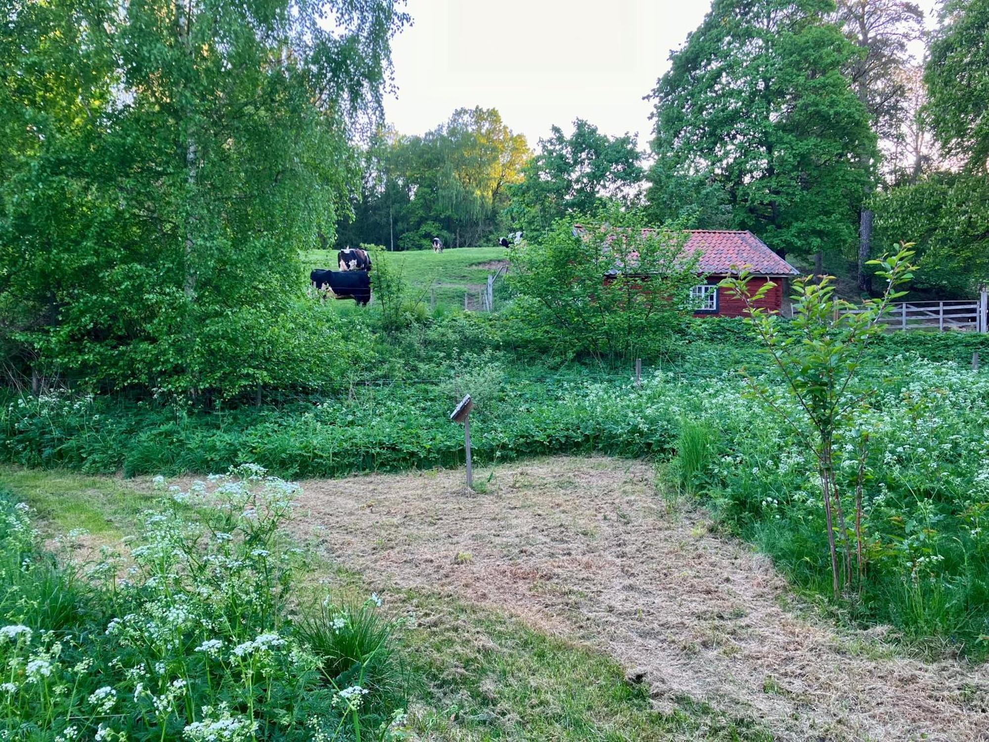Lidhem Herrgard. Bed & Breakfast Och Mindre Laegenheter Вимерби Екстериор снимка
