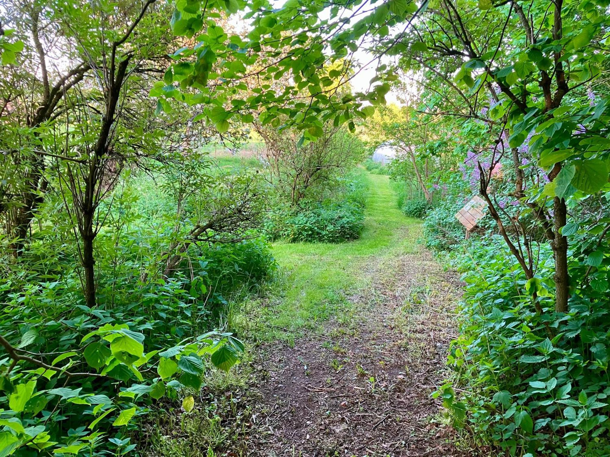 Lidhem Herrgard. Bed & Breakfast Och Mindre Laegenheter Вимерби Екстериор снимка