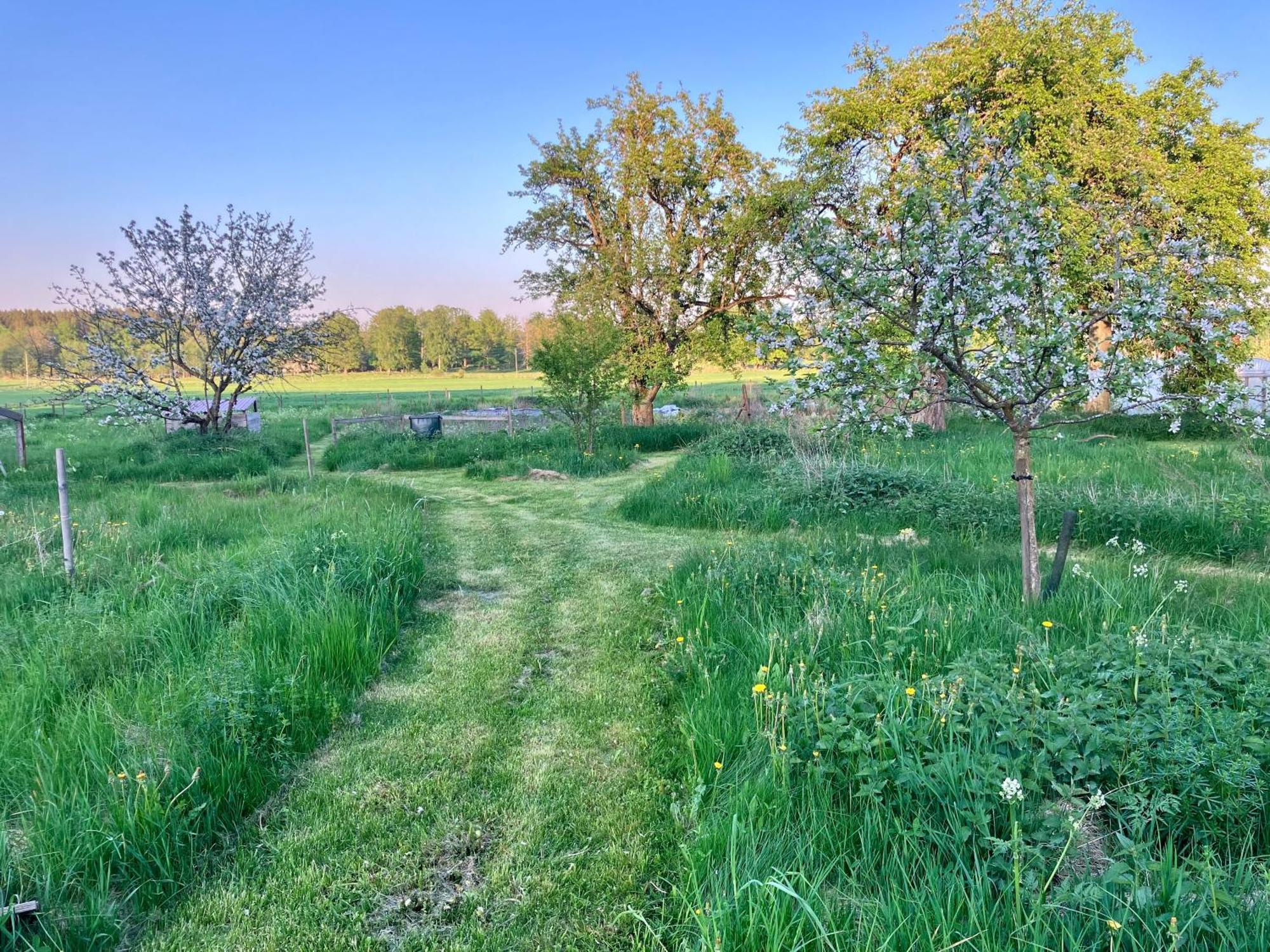 Lidhem Herrgard. Bed & Breakfast Och Mindre Laegenheter Вимерби Екстериор снимка