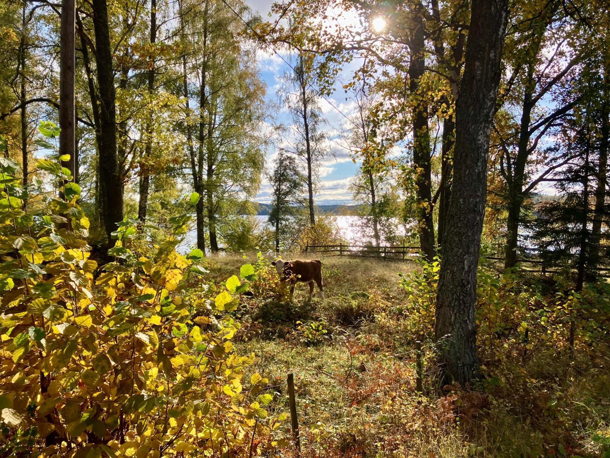 Lidhem Herrgard. Bed & Breakfast Och Mindre Laegenheter Вимерби Екстериор снимка